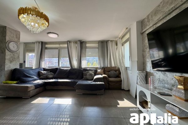 REF: 003656/V10739- CAN PUIGENER- SABADELL